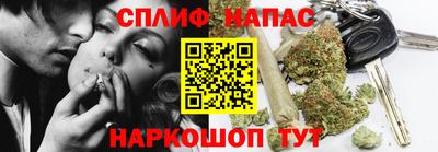 дурь Камышлов
