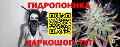 дурь Камышлов