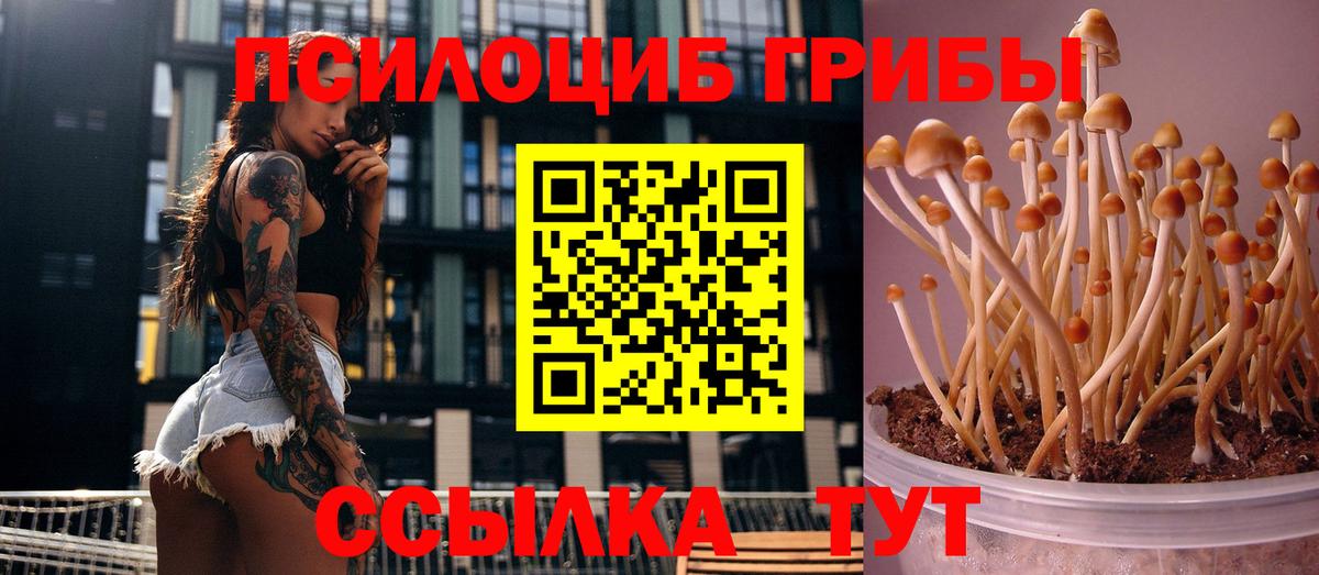 Псилоцибиновые грибы ЛСД  Вход с VPN  Красный Сулин 