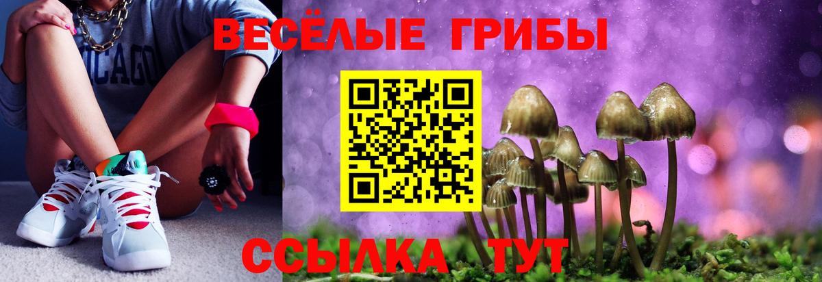 Галлюциногенные грибы GOLDEN TEACHER Красный Сулин
