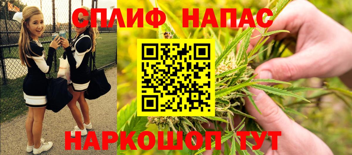 Бошки Шишки планчик  Конопля сатива  Красный Сулин  Канабис MAZAR  Вход с VPN  Бошки марихуана семена 